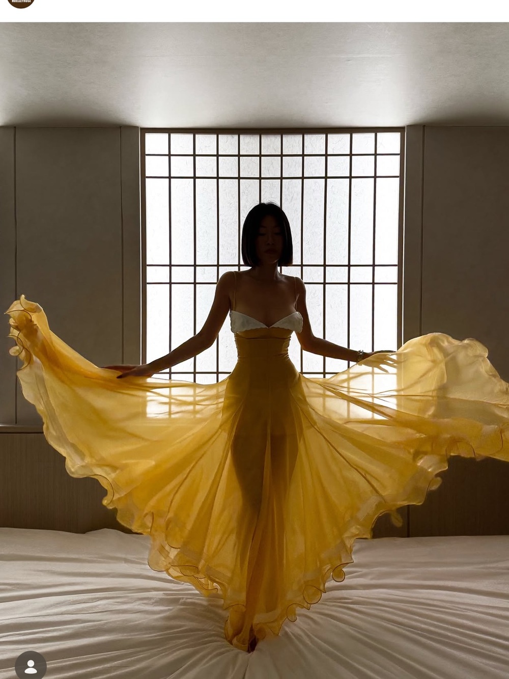 Elegant Yellow Sheer Maxi Dress - Women